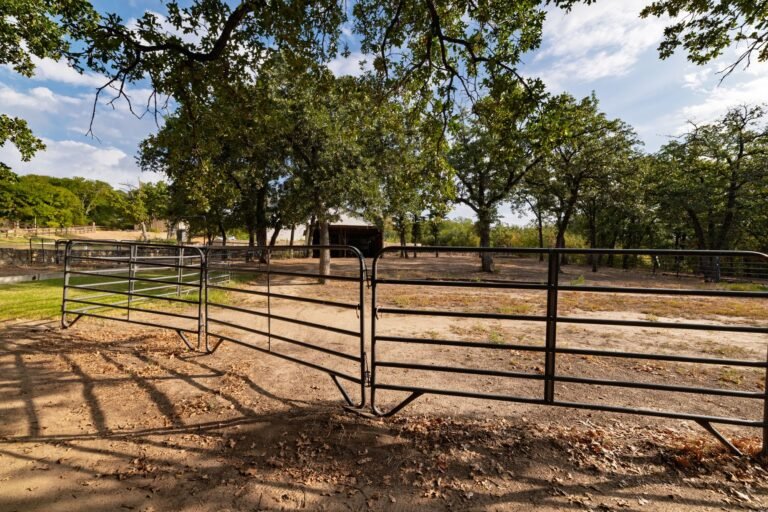 Fenced area among mature trees at 1311 Mount Gilead Rd, Keller TX